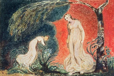 Das Buch Thel; die Lilie verneigt sich vor Thel, bevor sie 